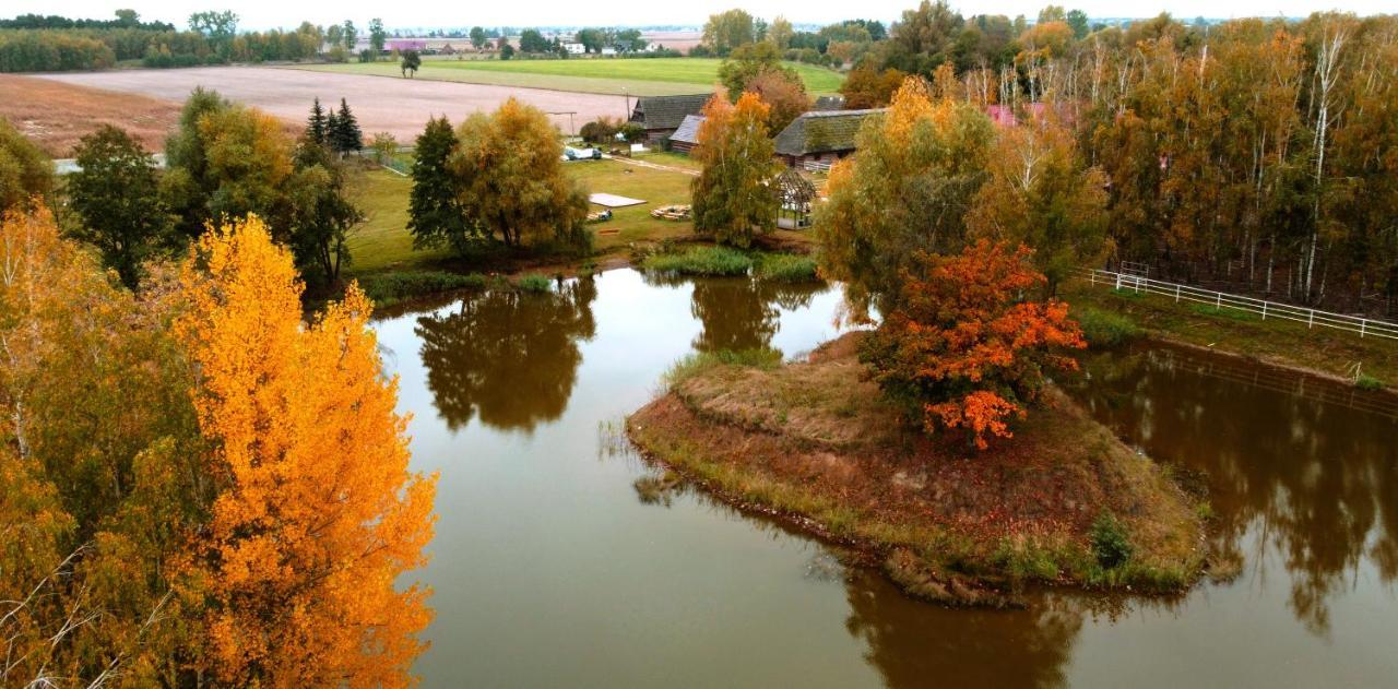 Gniazdo W Felicjanowie Uniejow Bagian luar foto