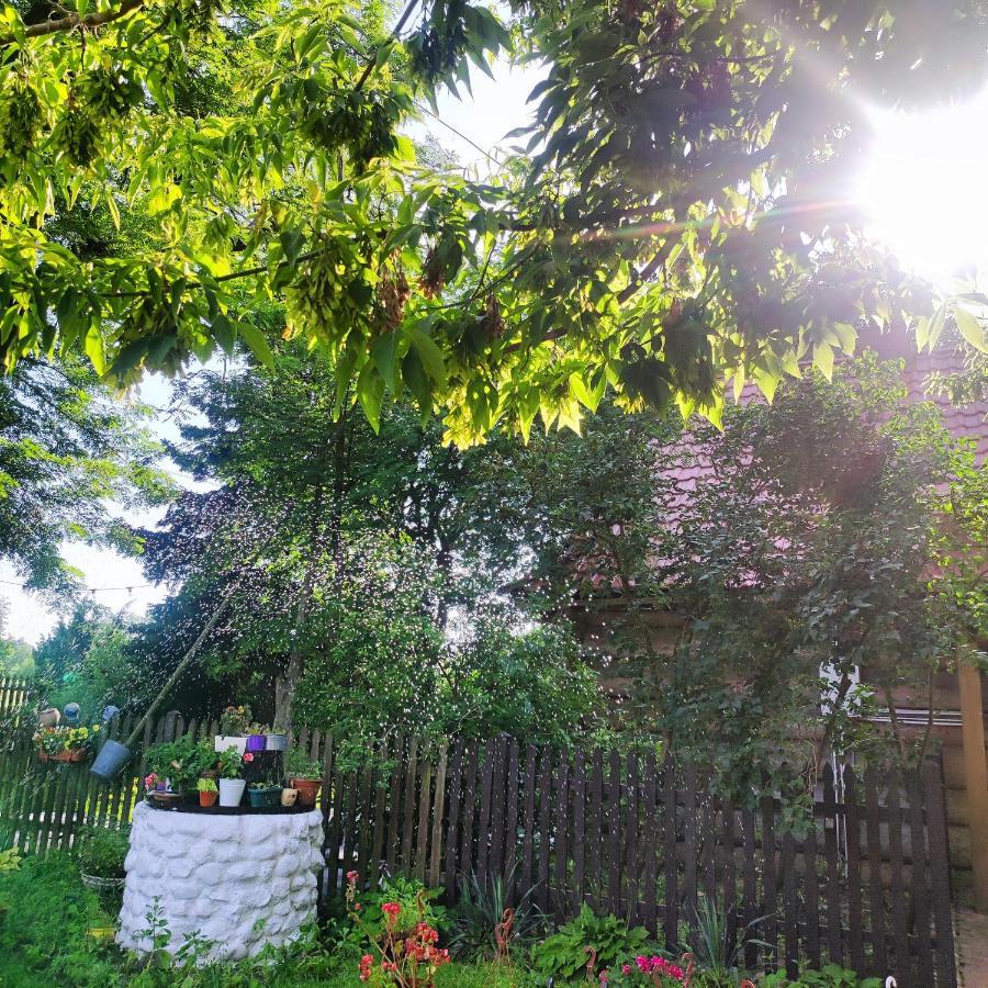 Gniazdo W Felicjanowie Uniejow Bagian luar foto